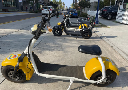 USED EBIKE FLEET